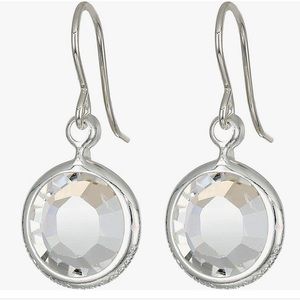 NWT Alex and Ani Crystal Earrings